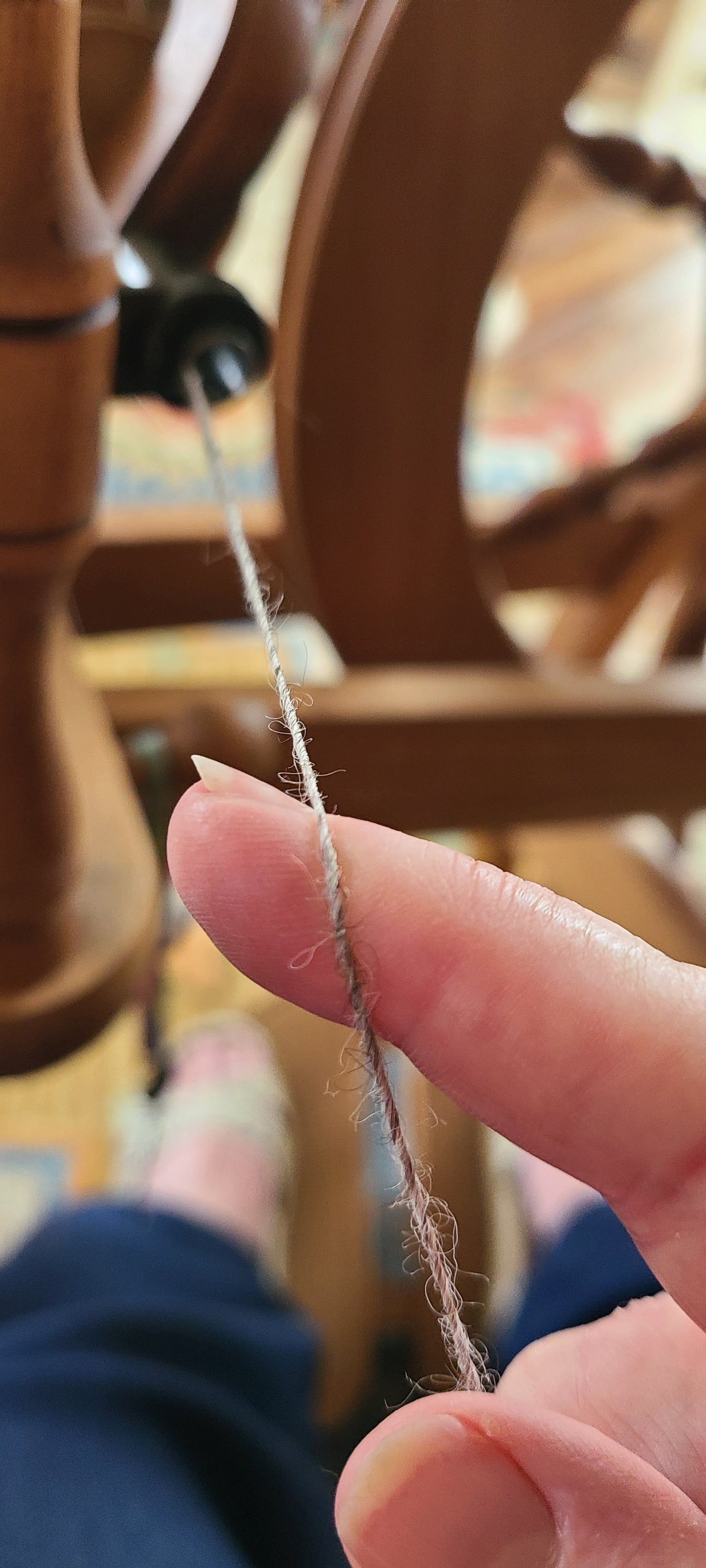 CLASS: Come Ply With Me with Joy Getha Wednesday, February 12th, 2025: 10:30am-2:30pm