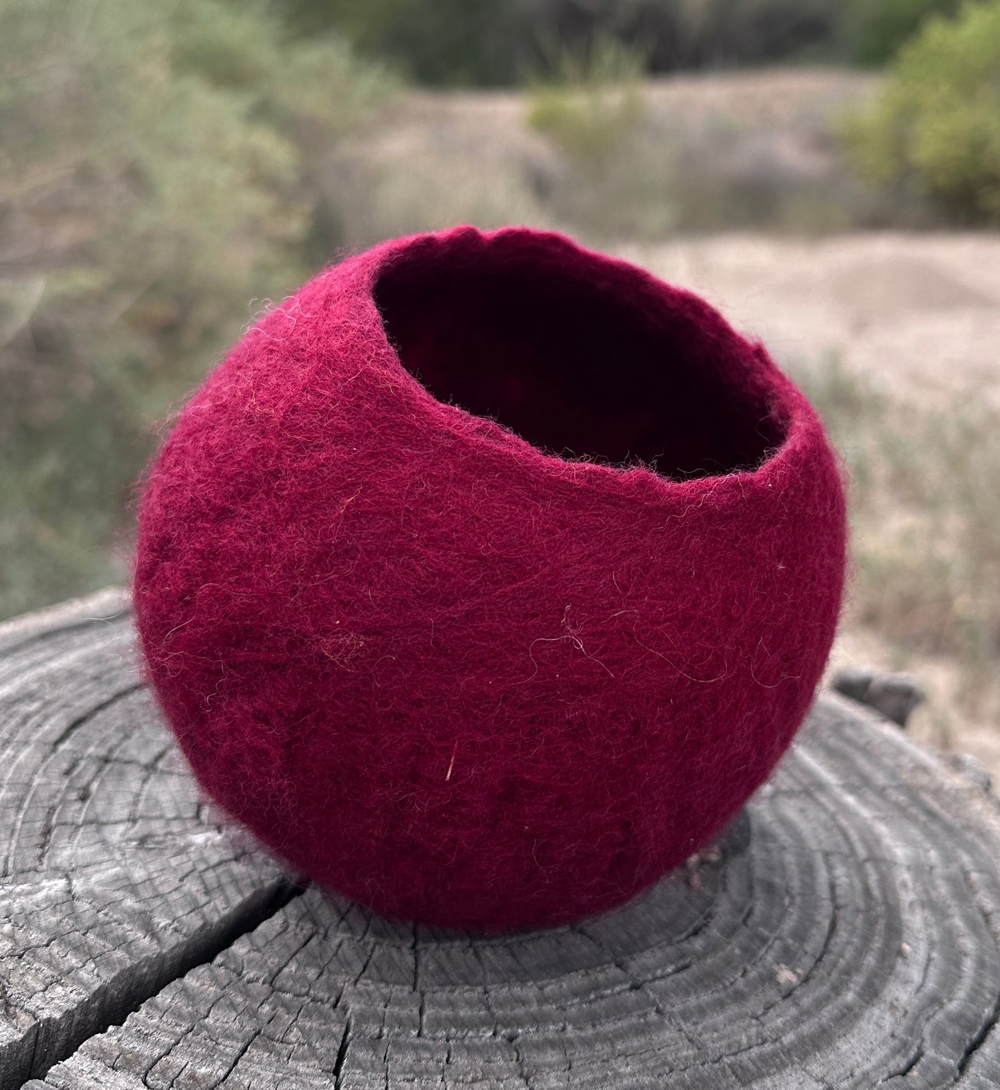 CLASS: Zoom Workshop: Wet Felted Vessels with Andrea Dupree: January 31st, 2026: 1pm-4pm