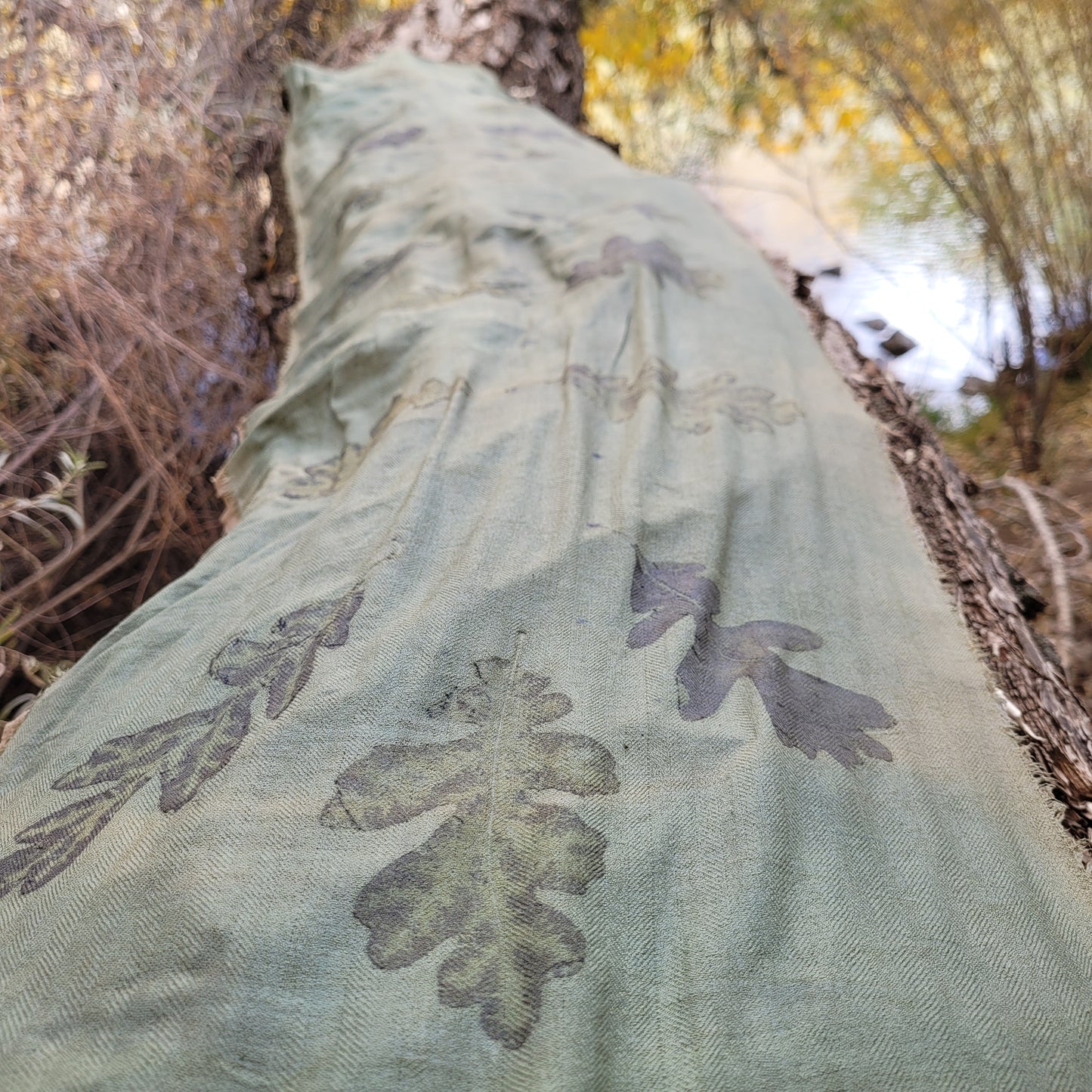 CLASS - Dyeing with the Watershed with Scott Sutton: November 2 & 3, 10:30am-5:30pm