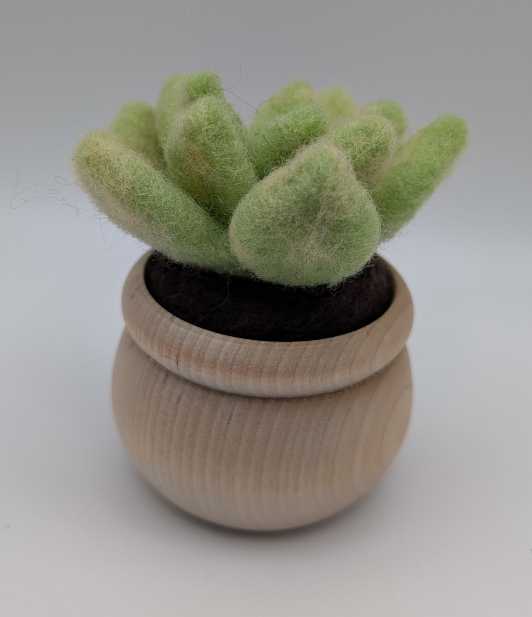 Felted Succulent