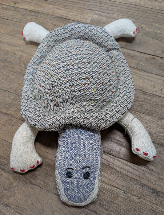 The Fanciest Turtle EVER!