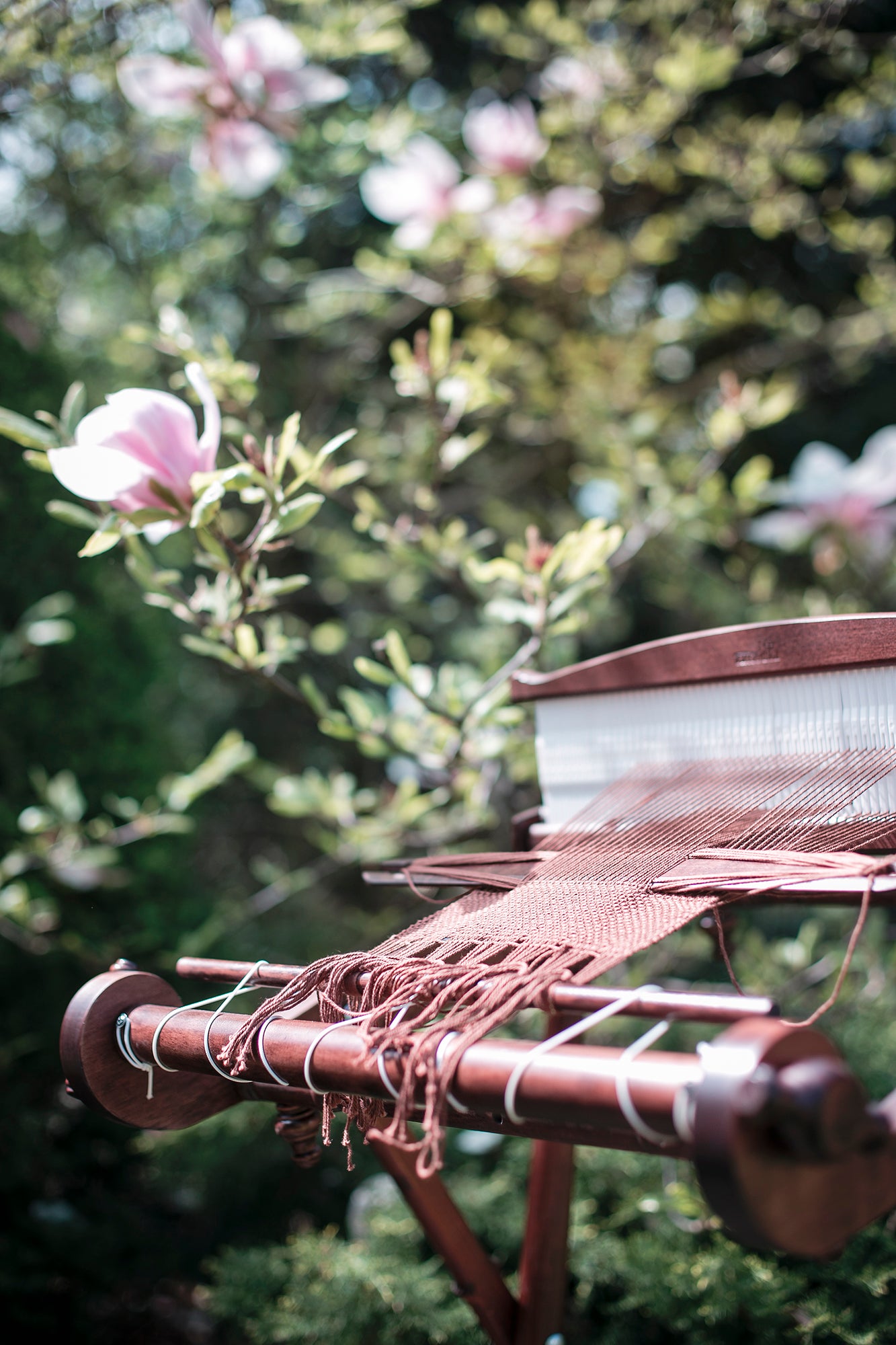 Harp Forte Rigid Heddle Looms